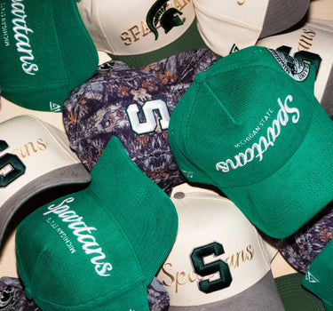 Michigan State