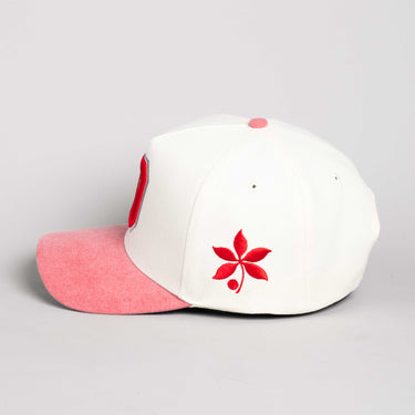 Ohio State Sun Fade / Cream & Red