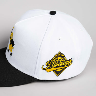 Iowa Color Splash / White & Black
