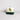 Baylor Bears Hat Cream and Green Suede Script Snapback - Front Panel