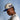 Boise State Broncos Hat Cream & Royal Blue Stadium Patch Snapback - On Model Lifestyle B