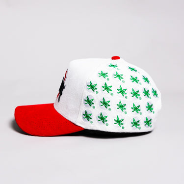 Ohio State Buckeyes Helmet Hat White Red Suede Brim Leaf Stickers Snapback - Side Patch