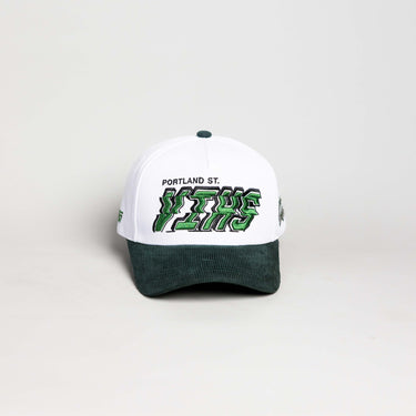 Portland State Vikings Hat Stadium Pulse Snapback - Front Panel