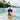 Samoa Hat White Navy Block S Snapback - On Model Lifestyle