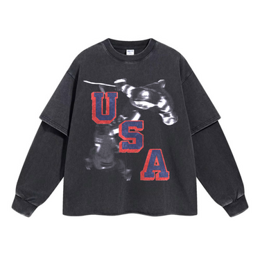 USA Secretary of Defense Tee Long Sleeve Hockey Graphic - Front View Washed Black