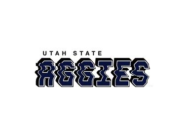 Utah State Aggies Hat White & Navy Corduroy Stadium Pulse Snapback - Team Wordmark