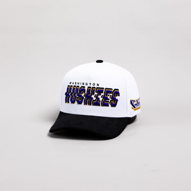 Washington Huskies Hat White & Black Corduroy Stadium Pulse Snapback - Angled View