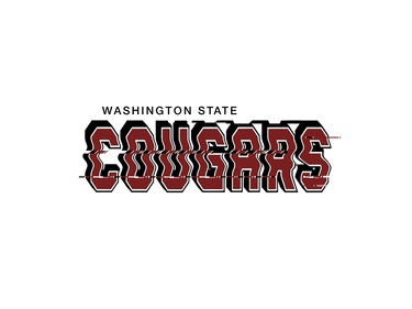 Washington State Cougars Hat White & Black Corduroy Stadium Pulse Snapback - Team Wordmark