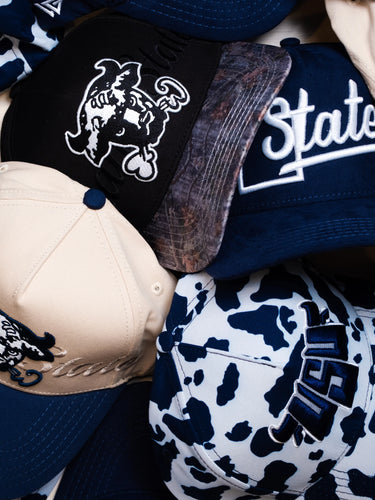 Utah State