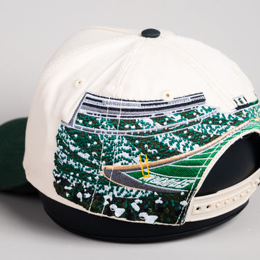 Michigan State Spartan Home Crowd  / Cream & Green