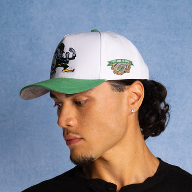 Notre Dame Fighting Leprechaun / White & Green