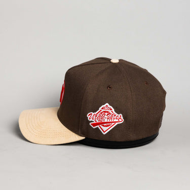 Utah Drum & Feather / Brown & Beige