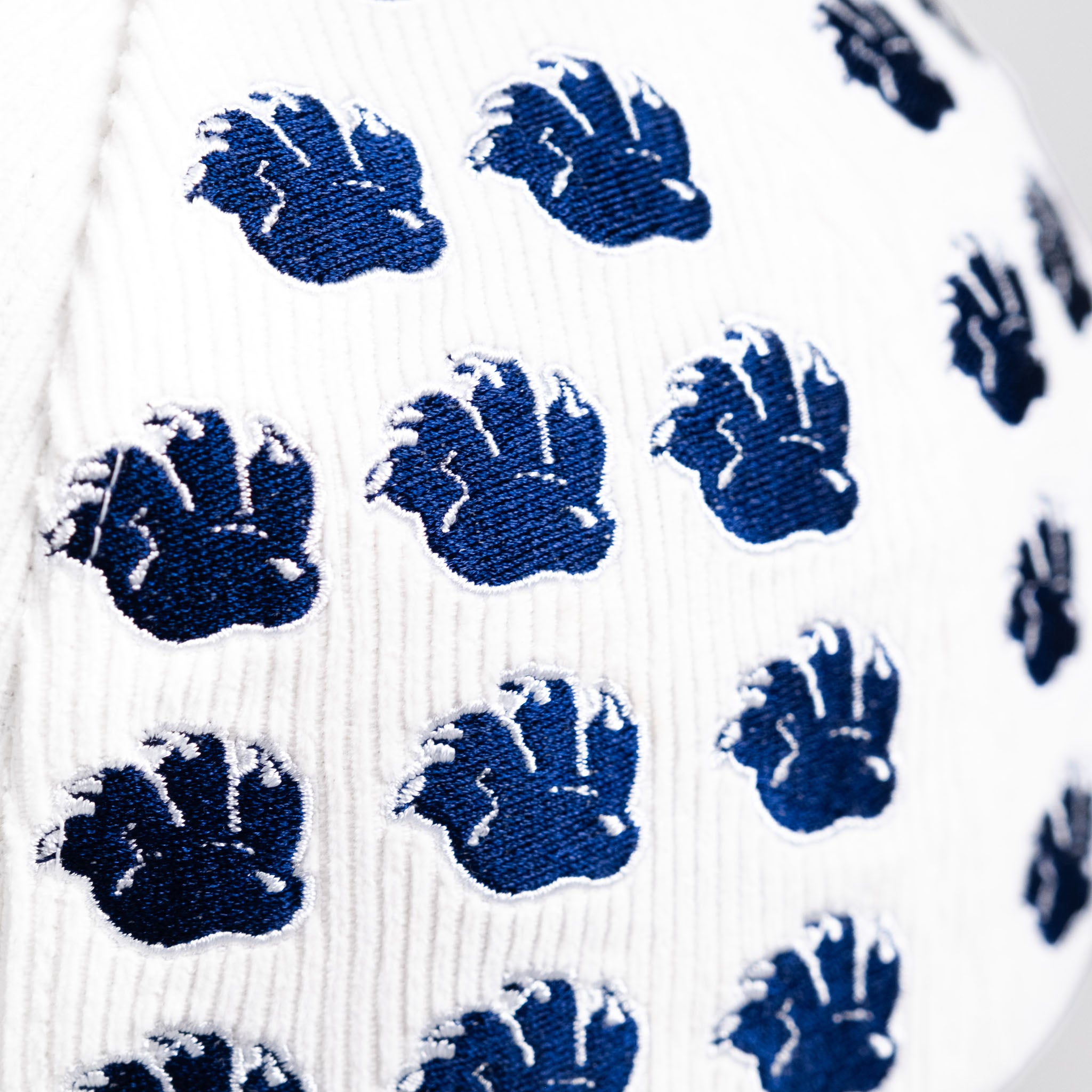 Arizona Wildcats Hat White & Navy Corduroy Helmet Sticker Snapback - Side Patch Detail