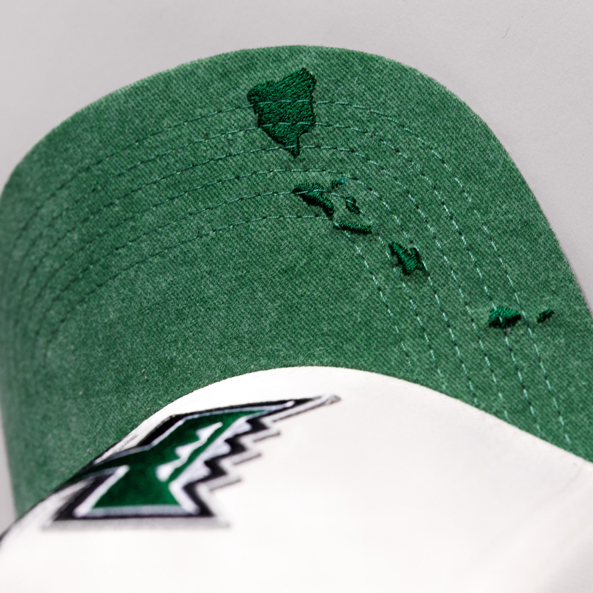 Hawaii Rainbow Warriors H Hat Cream Cotton Green Suede Brim Islands Embroidery Snapback - Islands Brim Embroidery Detail