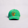 Hawaii Rainbow Warriors Hat Green Tee Box Performance Rope Snapback - Front Panel