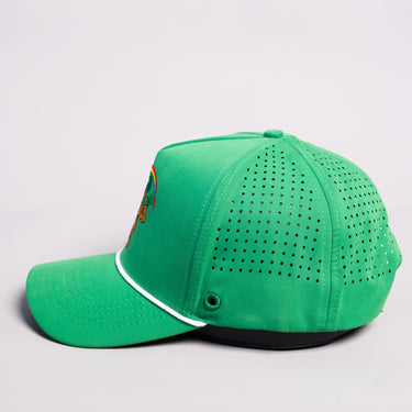 Hawaii Rainbow Warriors Hat Green Tee Box Performance Rope Snapback - Side View