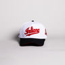 Indiana Hoosiers Hat White & Black Color Splash Snapback - Front Panel