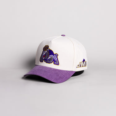 James Madison Dukes Duke Dog Hat Cream Cotton Purple Suede Brim JMU Snapback - Angled View