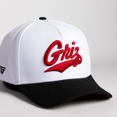 Montana Color Splash Hat White & Black Suede Snapback - Angled View