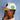 Notre Dame Fighting Irish Hat Neutrals Snapback - On Model Lifestyle B