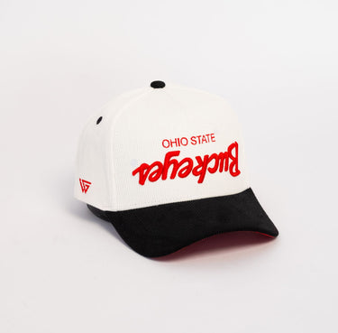 Ohio State Buckeyes Hat White & Black Flipped Script - Angled View