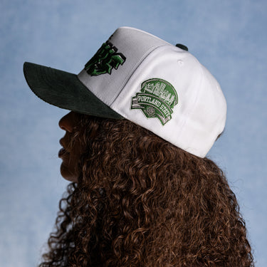 Portland State Stadium Pulse / White & Black