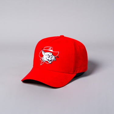 Red Suede Vintage Wilbur University of Arizona Snapback Hat - Angled View