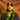 Tonga T Hat Black Polynesian Camo Brim White Logo Coat of Arms Snapback - On Model Portrait Lifestyle
