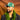 Tonga T Hat Green White Logo Gold Coat of Arms Patch Snapback - On Model Portrait Lifestyle