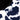 Utah State Cow Print Snapback Hat Limited Edition Aggie Hat - Underbrim Detail