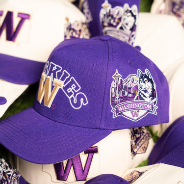 Washington Huskies Hat Purple Script Snapback - Angled View