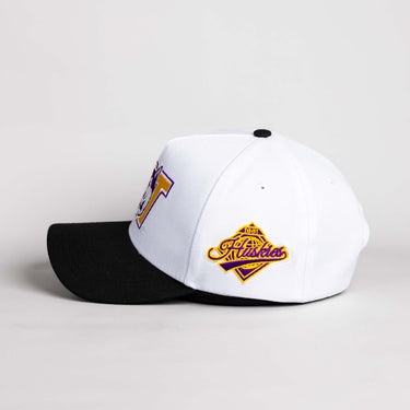 Washington Huskies Hat White & Purple Color Splash Snapback - Side Patch