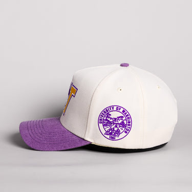 Washington Huskies Vintage W Hat Cream Cotton Purple Suede Brim Seal Patch Snapback - Side Patch