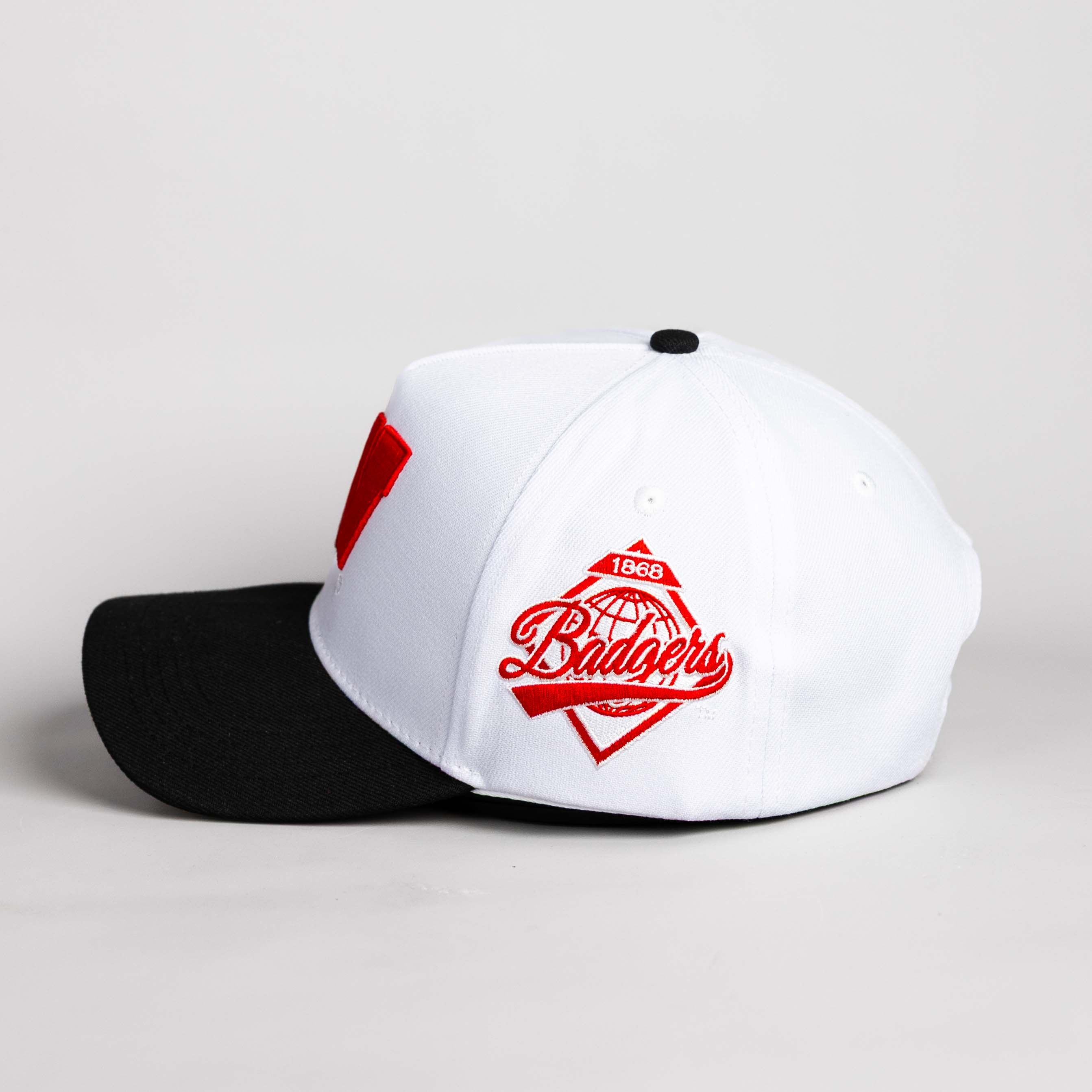 Wisconsin Badgers Hat White & Black Color Splash Snapback - Side Patch